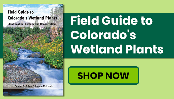 Cover image for the book Field Guide to Colorado's Wetland Plants by Denise Culver